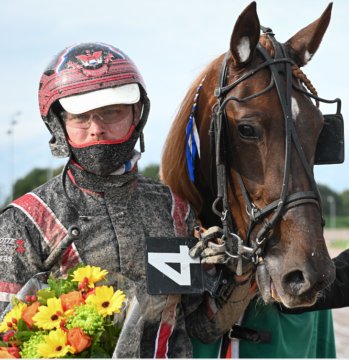 Het Gehele Jaar Door Treffen De Allerbeste Paarden Elkaar Op één Van De ...