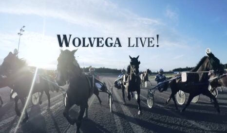 Wolvega Live! Alsof Je Zelf Erbij Bent.